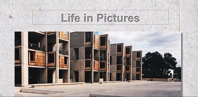 Life in Pictures home page screenshot Salk Institute